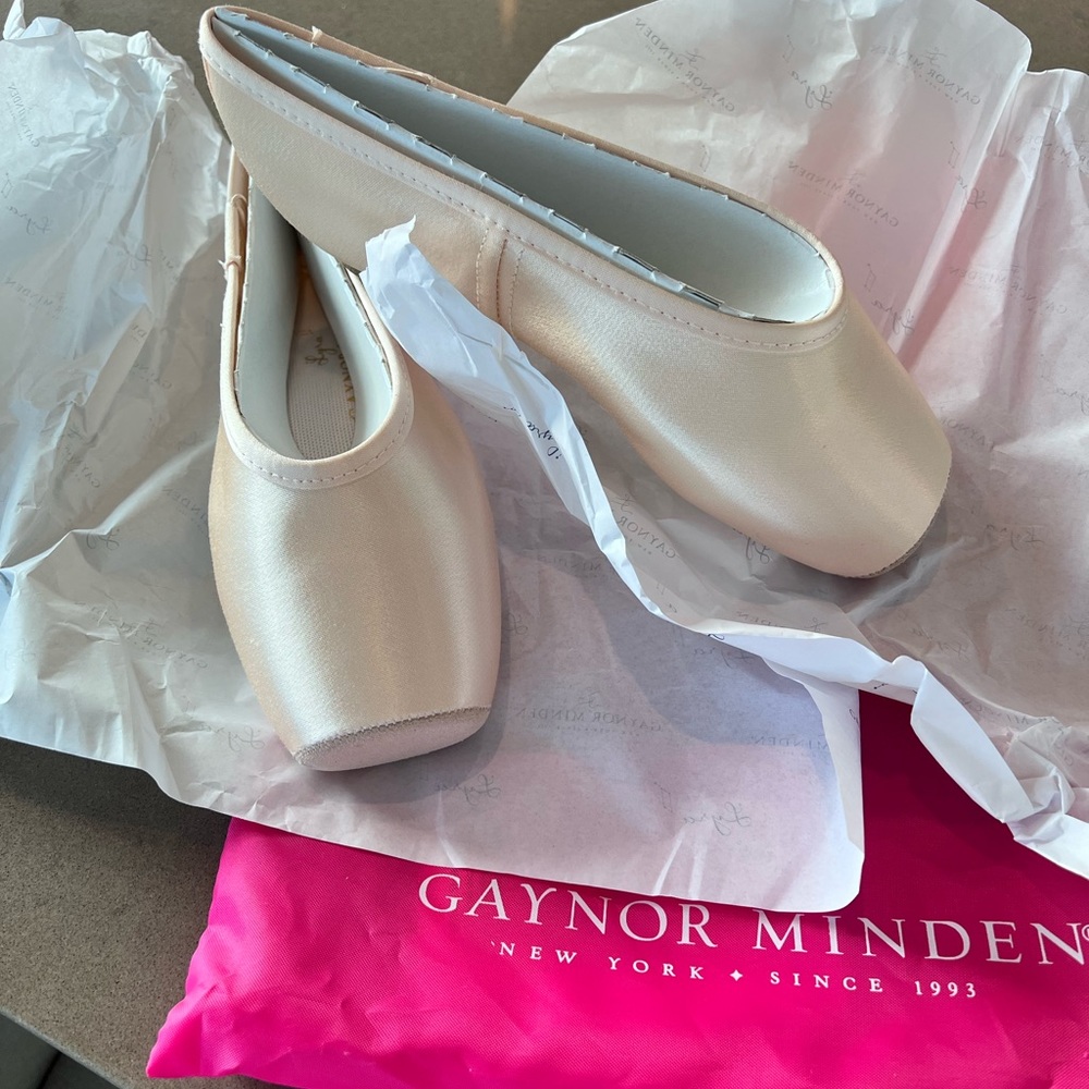 NWT- Gaynor Minden Pointe Shoes